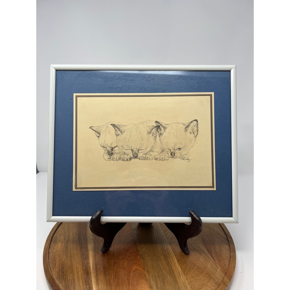 Framed Kitten Sketch Art‎ Print Triple Kittens Sleeping Vintage Wall Decor